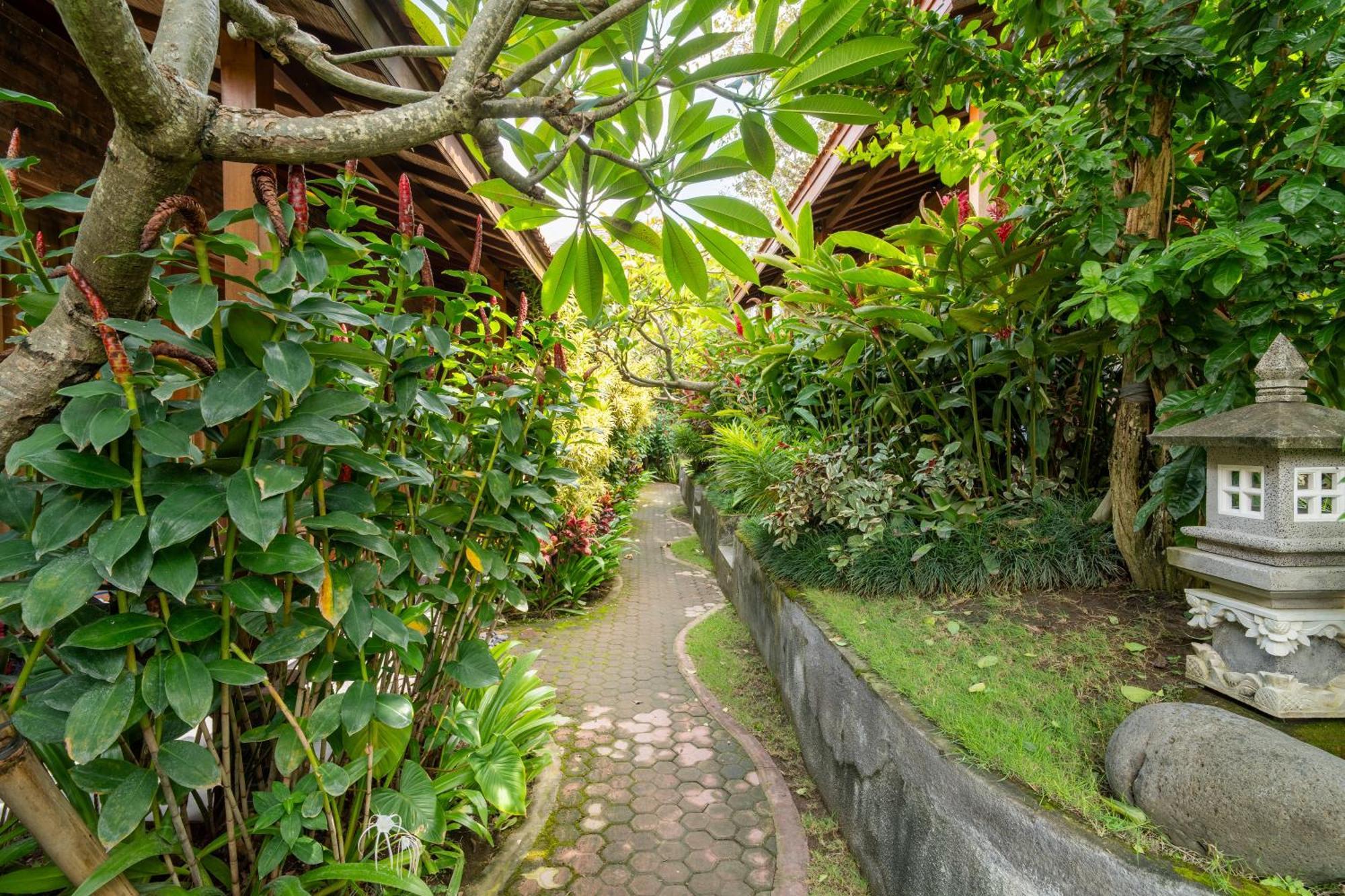 Jinar Guest House Canggu Dış mekan fotoğraf